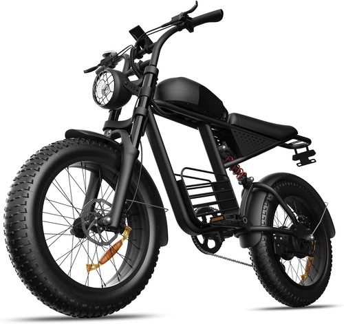 Electric bike for - electric, 1000w