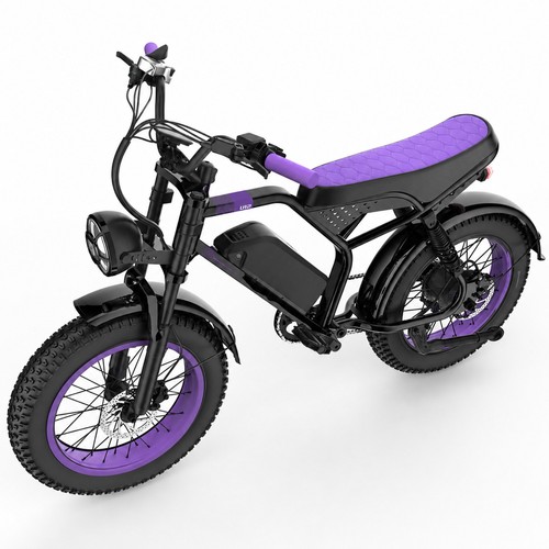 Fat tire 1500w peak - 20",